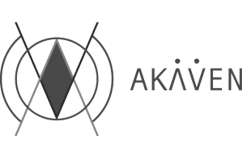 Logo 1